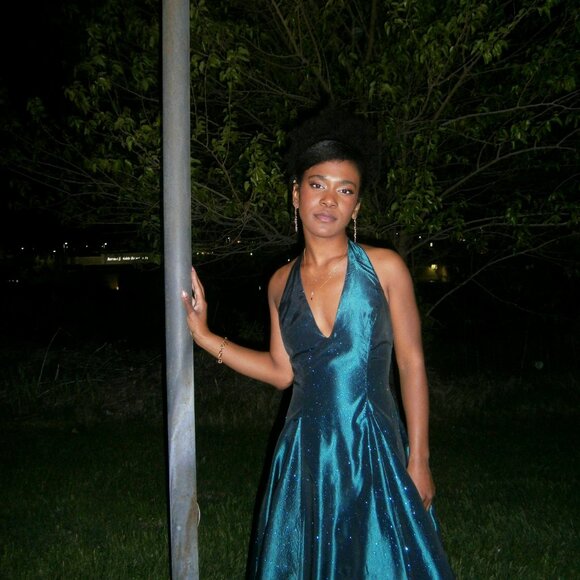 Scott Mcclintock Green Halter Neck Gown - Picture 7 of 7